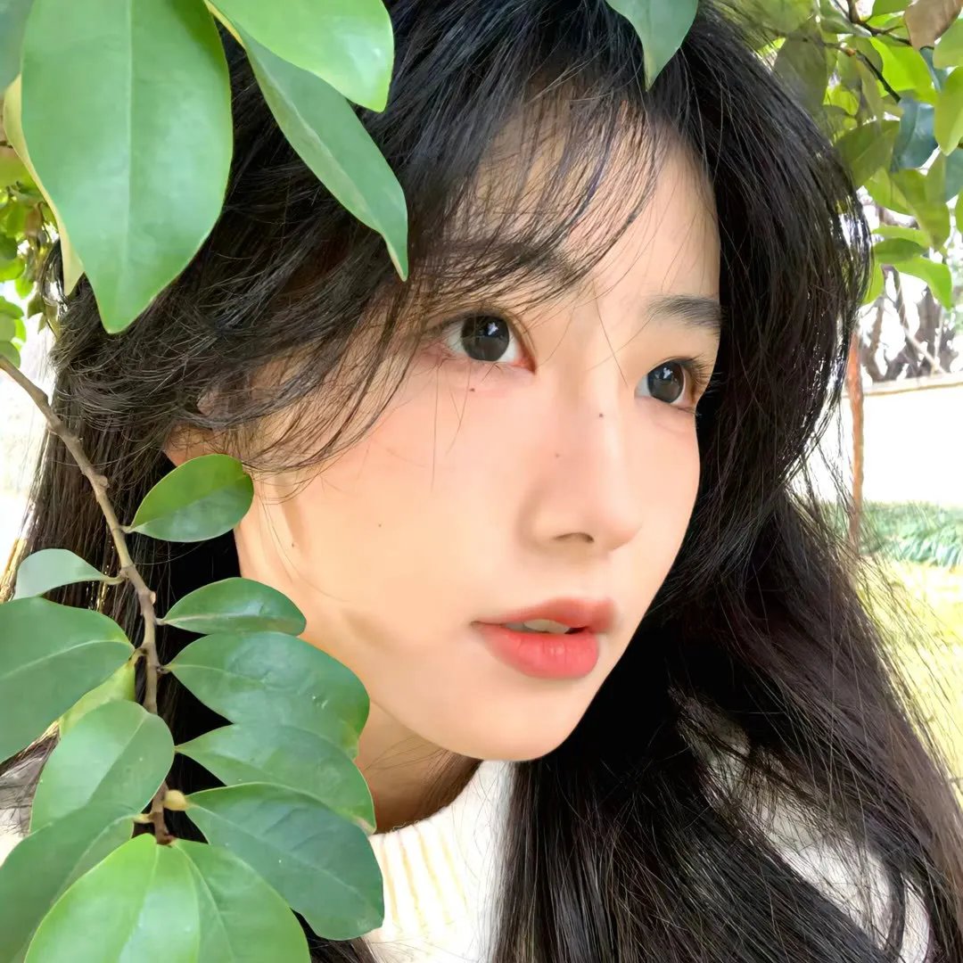 逆风追爱